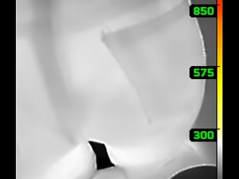 Uncovering the Greatest Ass in Asia with Thermal Imaging!!