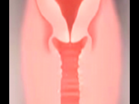 Jap girl suck and fuck in X-ray glasses