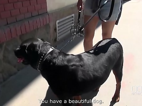 Alexis Cherry Swallows Creamy Load After Epic Pov Blowjob In The Great Outdoors